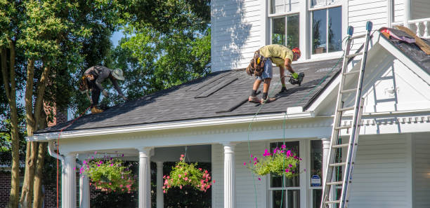 Best Metal Roofing Contractor  in Hortonville, WI